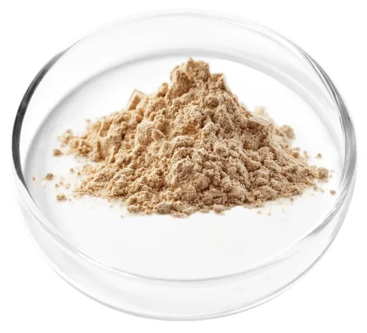 Golden berberine root extract powder in a laboratory dish