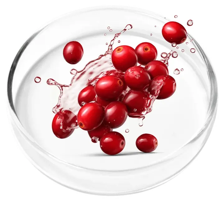 Fresh cranberries with a splash of juice in a laboratory dish